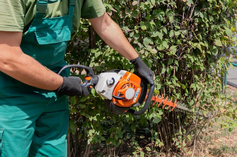 Professional gardener trimming bush with hedge trimmer - garden maintenance